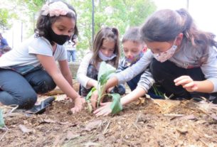 Semasa beneficia escolas de Santo André com implantação de hortas