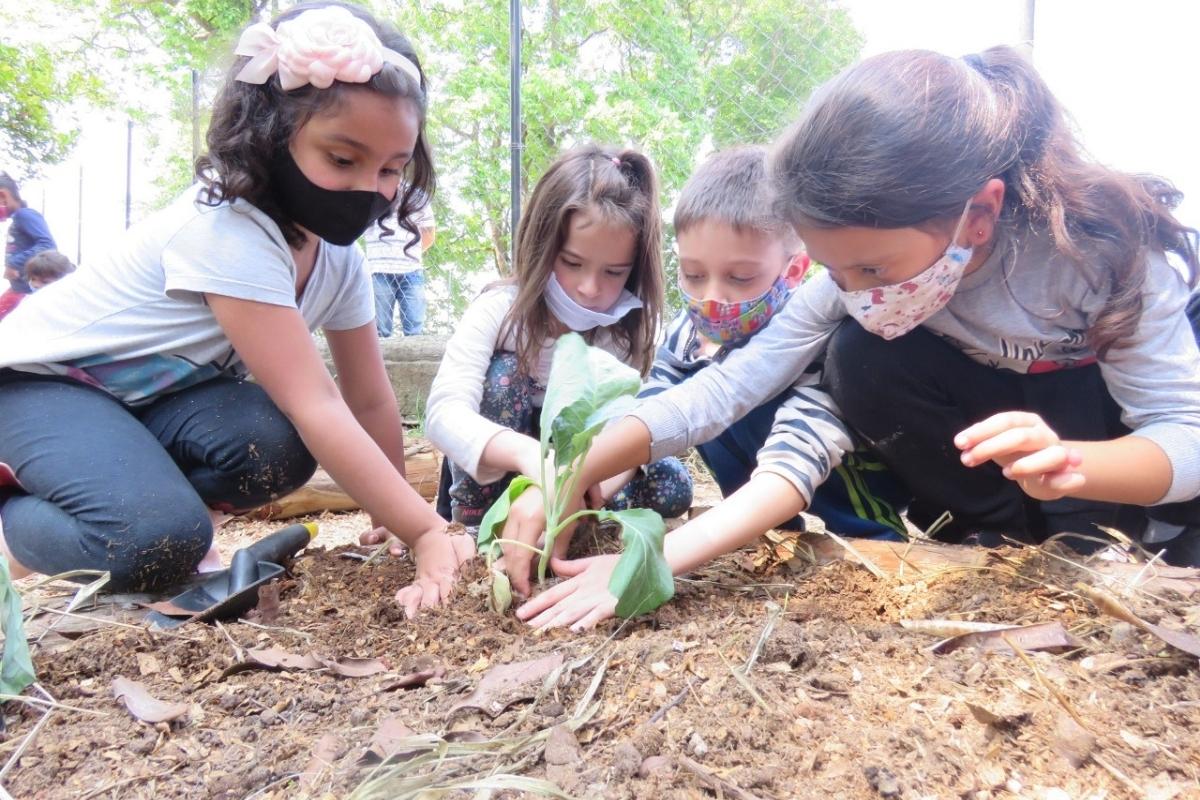 Semasa beneficia escolas de Santo André com implantação de hortas