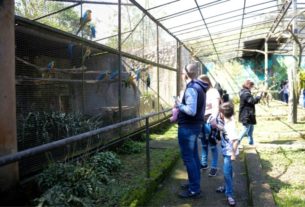 Zoológico de São Bernardo ganha novo morador com nascimento de filhote de lontra