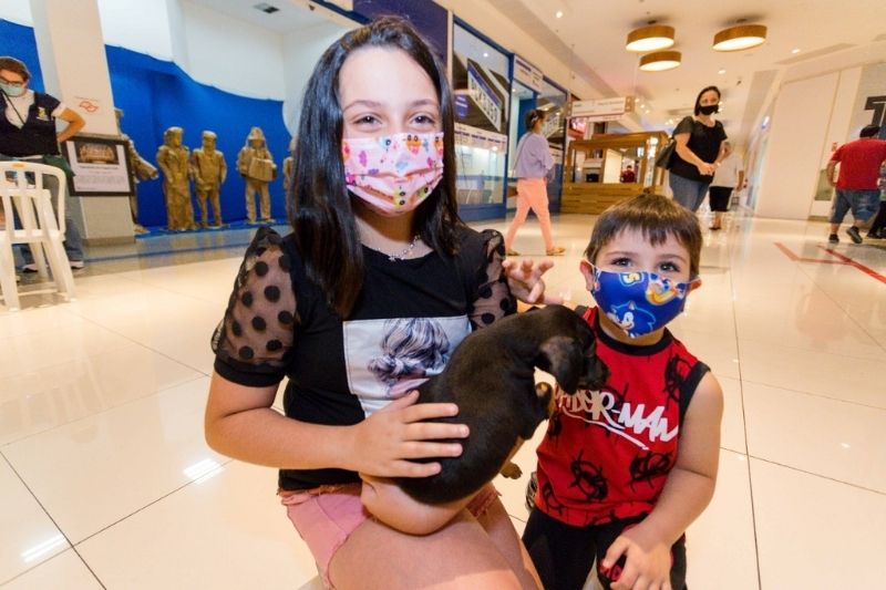 Santo André retoma feira de adoção de animais