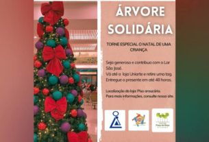Árvore solidária no Shopping Praça da Moça é oportunidade de presentear crianças
