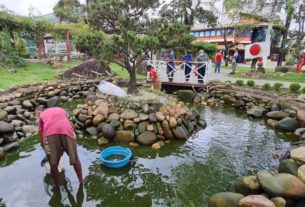 Prefeitura de Ribeirão Pires inicia manutenção de lago do Jardim Japonês