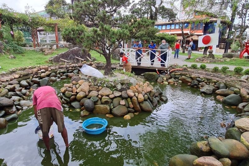 Prefeitura de Ribeirão Pires inicia manutenção de lago do Jardim Japonês