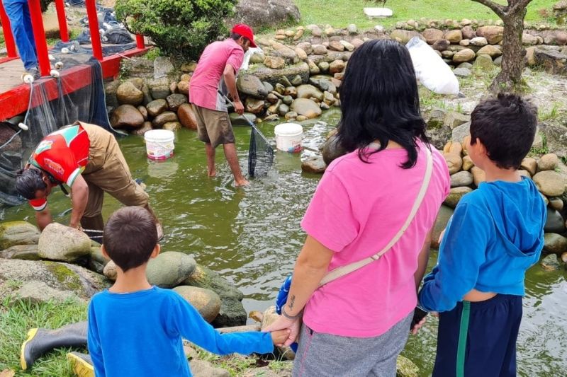 Prefeitura de Ribeirão Pires inicia manutenção de lago do Jardim Japonês