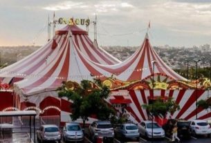 Circo Maximus estreia no Grand Plaza Shopping pela primeira vez