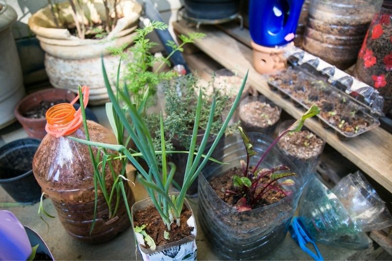 Escola Municipal de Ecologia de São Caetano realiza curso de horta para pequenos espaços