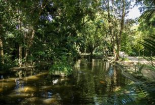 Escola Municipal de Ecologia de São Caetano realiza curso de horta para pequenos espaços