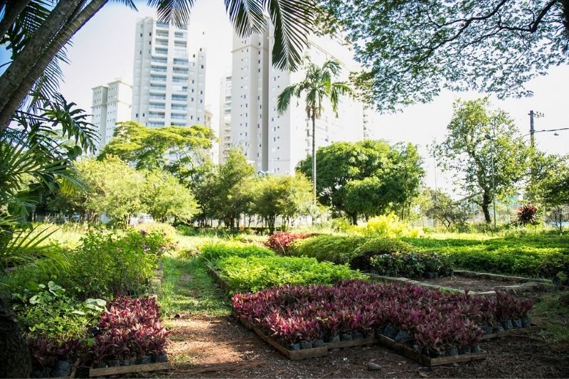 Escola Municipal de Ecologia de São Caetano realiza curso de horta para pequenos espaços