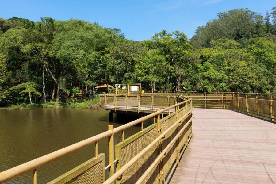 Fim de semana tem Arraiá no Parque do Pedroso e atividade de educação ambiental para crianças no Parque Ipiranguinha