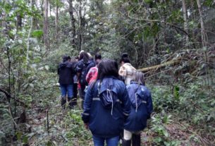 Parque do Pedroso oferece brincadeiras infantis, trilha e caminhada ecológica