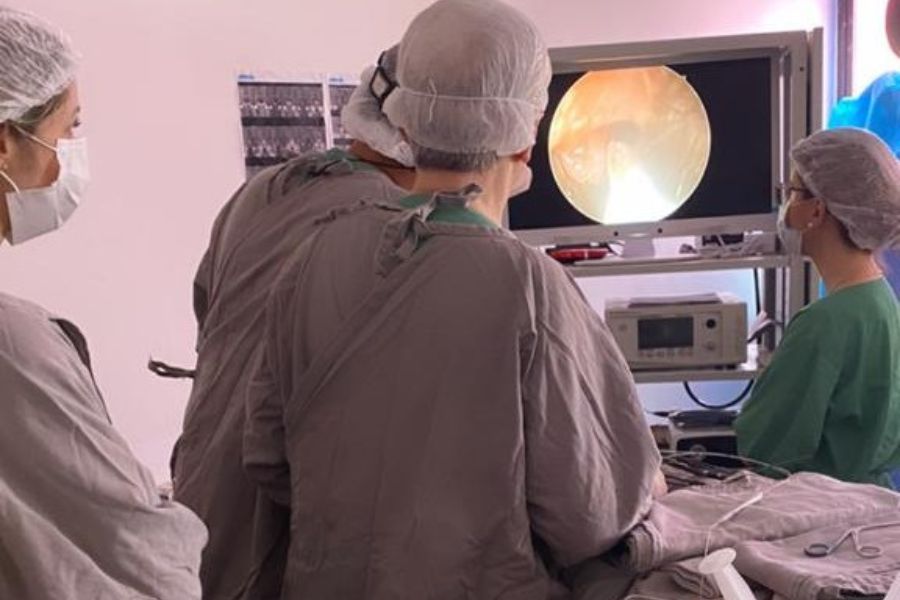 CHM de Santo André retira tumor de criança em primeira cirurgia neurológica por vídeo