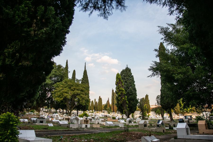 Prefeitura de São Caetano abre chamamento público a interessados em utilizar jazigos no Cemitério das Lágrimas