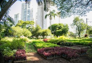 Escola Municipal de Ecologia de São Caetano promove curso gratuito de horta para pequenos espaços