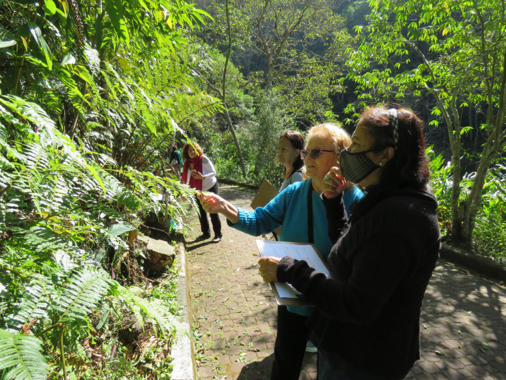 Semasa abre agenda de atividades de educação ambiental para idosos integrantes do Crisa